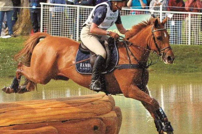 "And on this day, that pony, Teddy O'Connor, showed me what was possible." ❤️