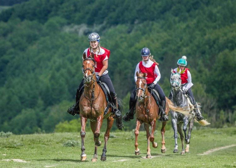 Endurance GB Northern Champion’s ‘relief’ at return to sport after completing last ride at 2019 FEI European Championships 