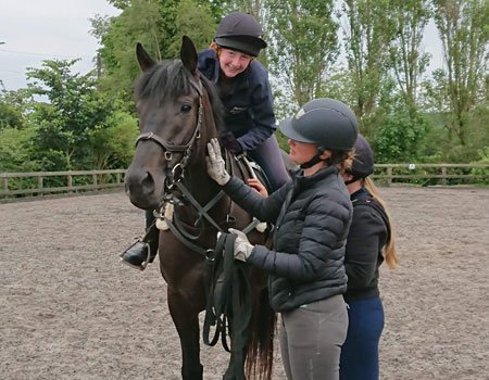 Neglected horses given a Second Chance at life through BHS Approved Centres