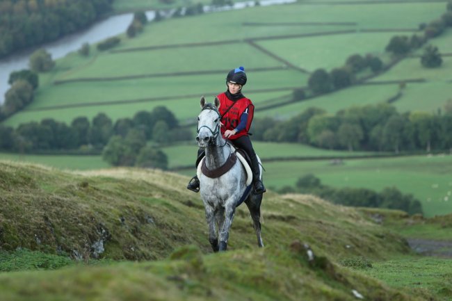 Iconic Endurance GB British Horse Feeds and Golden Paste Company Red Dragon Festival is back with a roar 