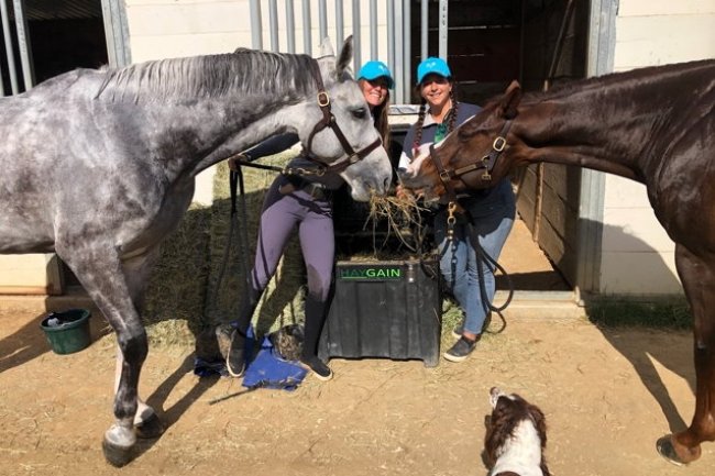 The Grooms "Got It!"