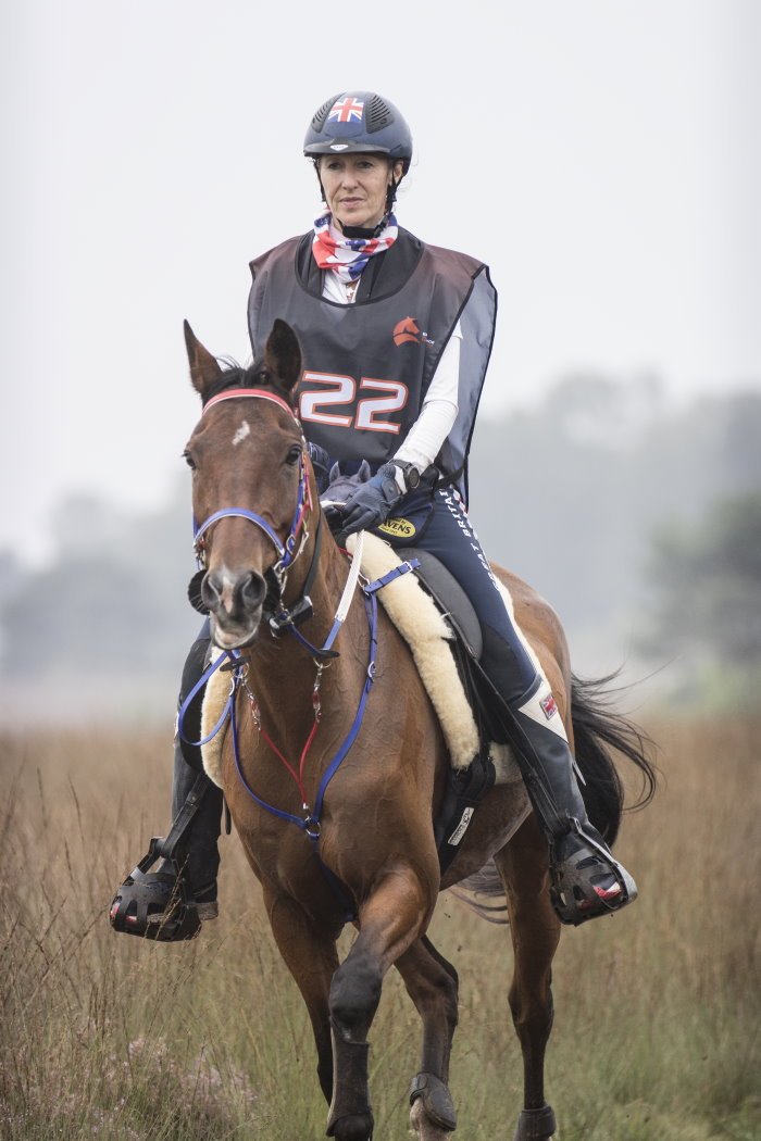 Double celebrations for Team GB as ‘talisman’ British Rider earns a European Championship completion while a British-bred horse is crowned FEI European Champion at Ermelo. 