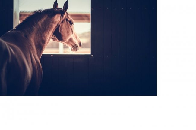 The Not-So-Great Indoors