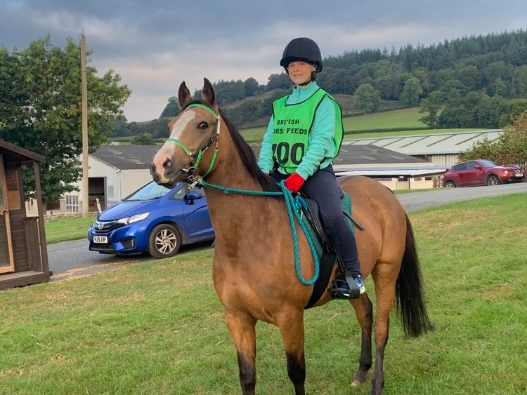  Janice Cockley-Adams crowned National Champion at epic Endurance GB British Horse Feeds and The Golden Paste Company Red Dragon Festival  