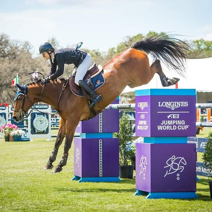 Free Webinar: Evidence is Everything in Sport Horse Evaluation, Performance & Longevity -- Nov. 18 at noon EST