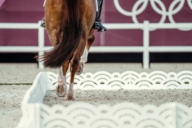 Equestrian sport named in Olympic programme for Los Angeles 2028