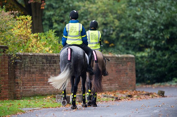 Highway Code Review SI laid in Parliament 1st December