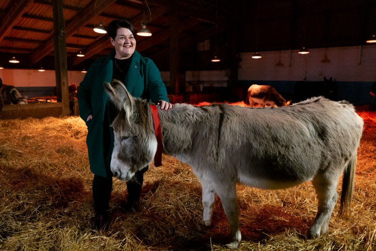 Virtual Christmas Carol Service at The Donkey Sanctuary    