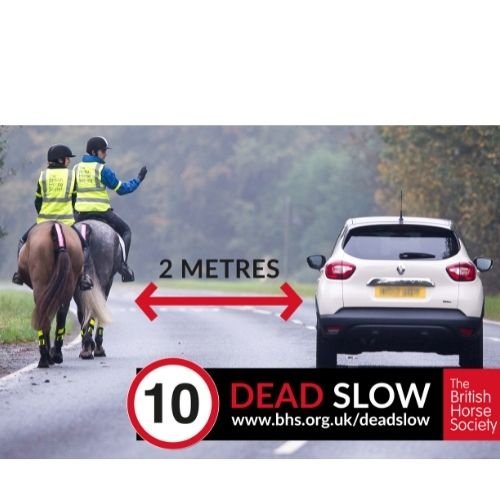 Highway Code changes for equestrians come at crucial time with more horse deaths on UK roads in 2022