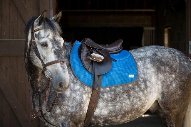 Keep cool with Equitex this Spring