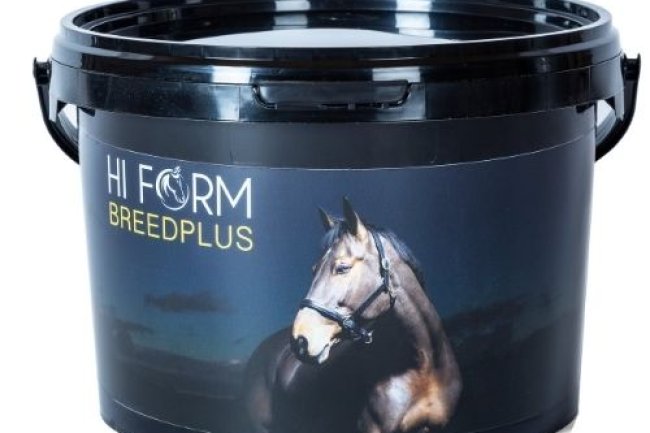 Super Stallions and Magnificent Mares with HiForm BreedPlus