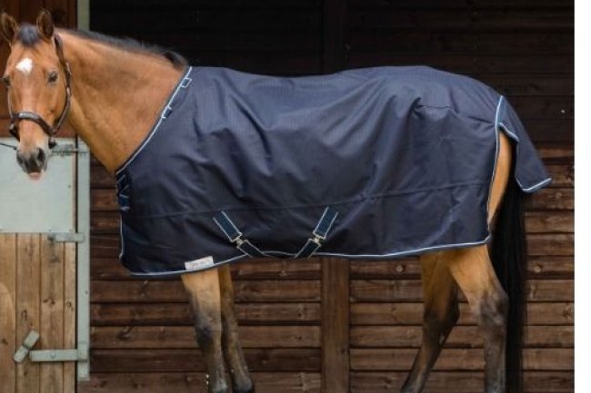 Get ready for Spring with Dominick Rugs