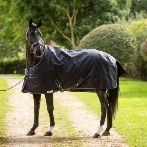 Get ready for Spring with Dominick Rugs