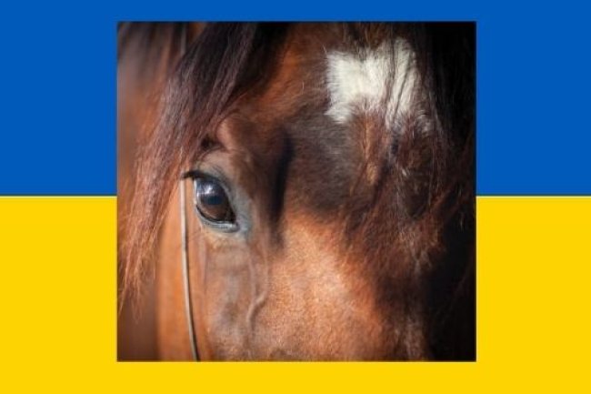 `British Equestrians for Ukraine’ launched to aid developing equine crisis.