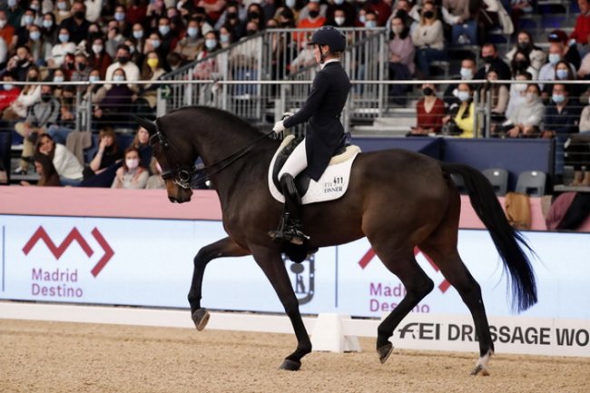FEI Dressage World Cup™ 2021/2022. Exciting contest for Final qualifying spots...