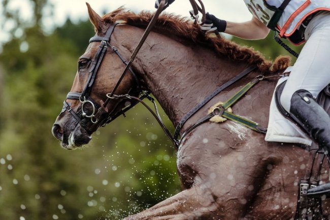 Switzerland win FEI Eventing Nations Cup™ in Pratoni de Vivaro (ITA)