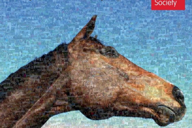 The British Horse Society creates giant display of their volunteers’