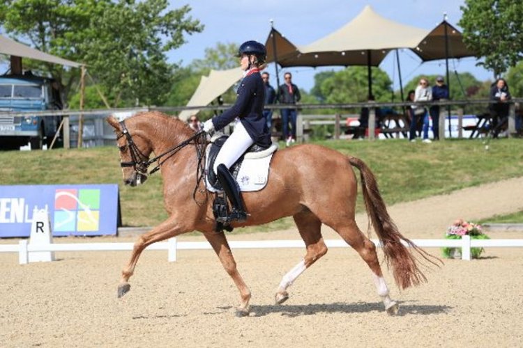 Olympic star Gio on dominant form at Hickstead