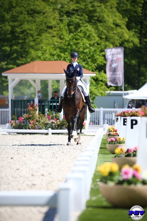 On Wednesday, the world's best riders and horses will arrive in Compiègne.