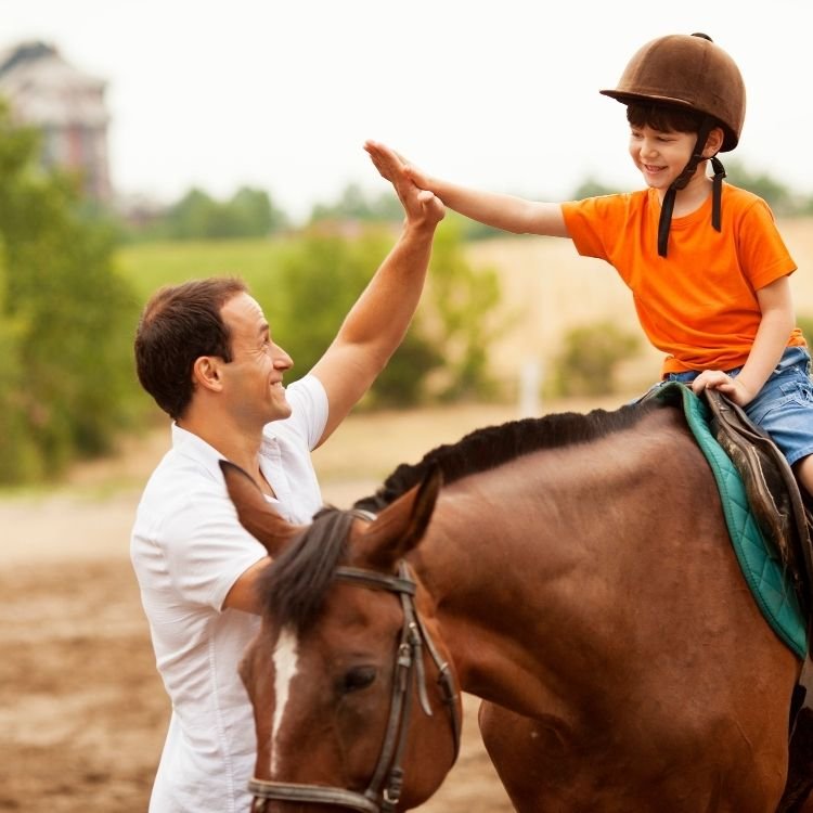 Feeling the pinch? Top Tips for Cost-Effective Horsekeeping - Part 3