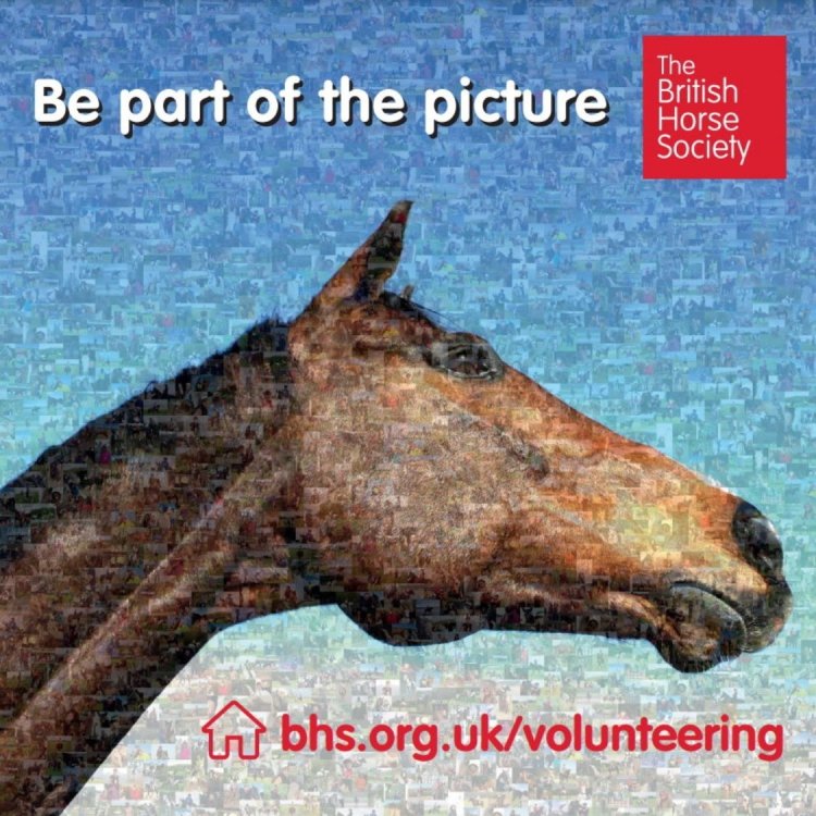 The British Horse Society creates giant display of their volunteers’