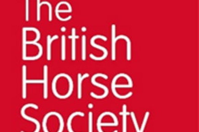 The British Horse Society launches ‘Look Out for Laura’ campaign aimed at improving attitude to horse riders