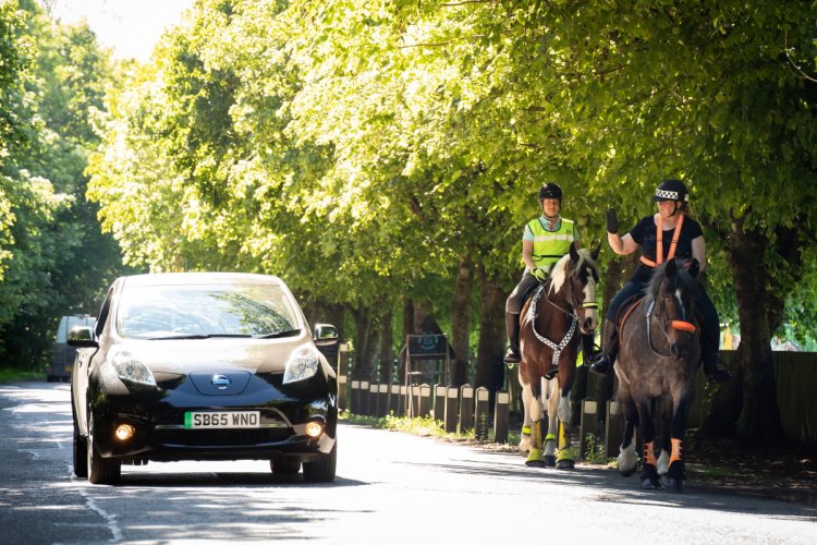 New report reveals horses’ sensitivity levels to electric vehicles