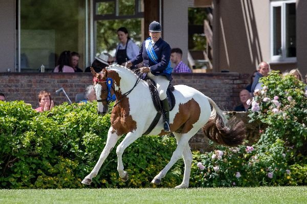 Her Majesty The Queen enjoys a Jubilee win at Hickstead