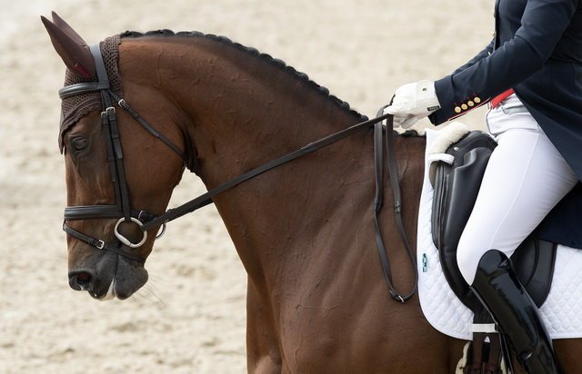 Denmark records historic win in FEI Dressage Nations Cup™ at Aachen