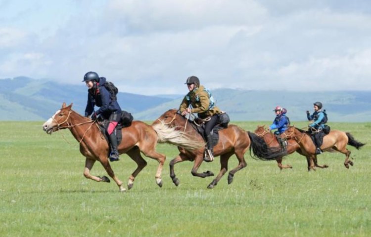 Irishman pipped at the post in the world’s toughest horse race