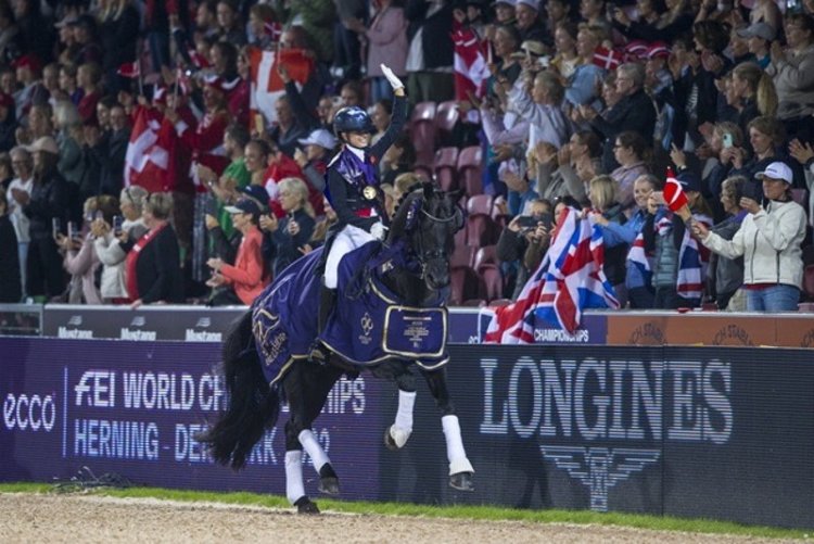 Fry takes Freestyle gold on phenomenal night in Herning