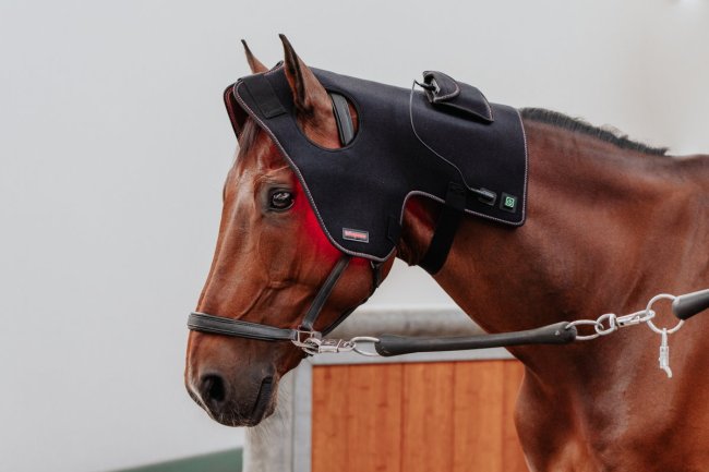 HORSELIGHT INTRODUCE THE LATEST LIGHT THERAPY TOOL, INFRAPOWER POLL CAP