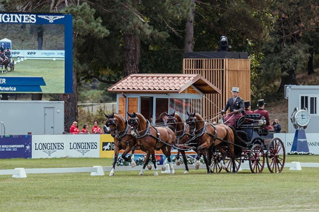 FEI World Championships 2022 Pratoni del Vivaro (ITA) Driving