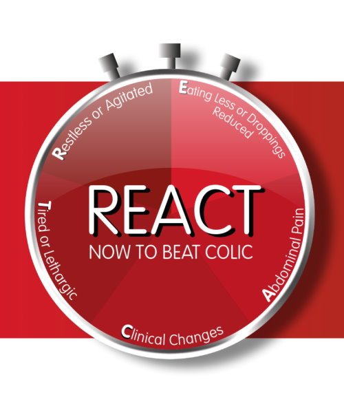 Colic Awareness Week Returns for 2022