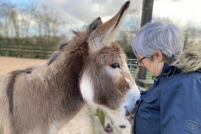 Another step forward for Donkey Assisted Activities