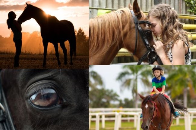 Horse riding is not just for the well off – and we need to keep it this way!