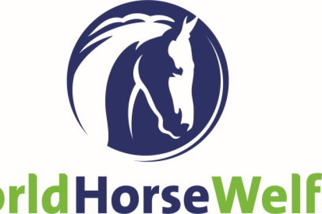 Haygain Sales to Support World Horse Welfare through December