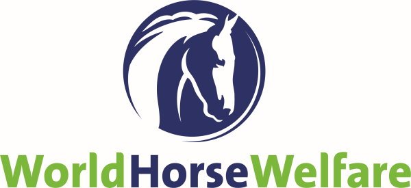 Haygain Sales to Support World Horse Welfare through December