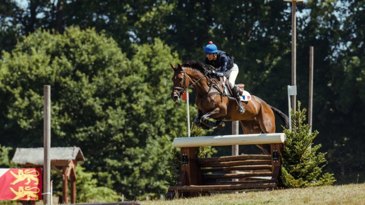 FEI EVENTING EUROPEAN CHAMPIONSHIP :   THE TICKET OFFICE IS OPEN !