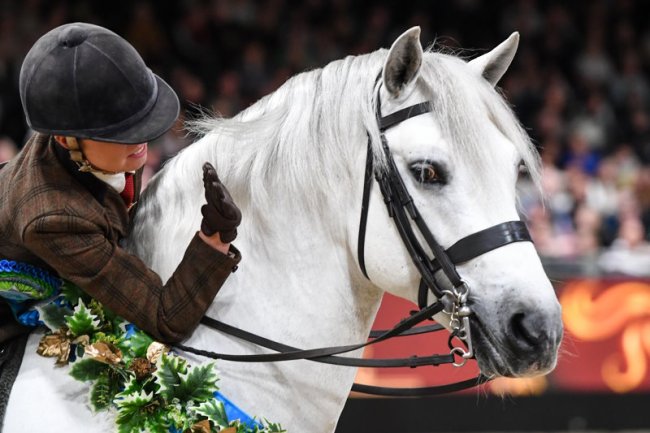 FORTY FIVE AGRICULTURAL AND COUNTY SHOWS SIGN UP TO RUN LONDON INTERNATIONAL HORSE SHOW QUALIFIERS