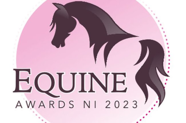 EQUINE AWARDS NI 2023 ARE LOOKING FOR MINI, MIDI & JUNIOR RISING STARS!!
