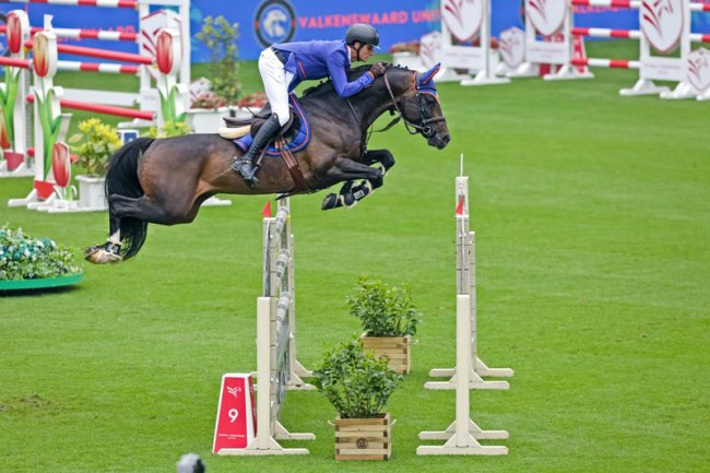 Tops Stallions offers fresh semen from world-class Bacardi VDL & Cinsey