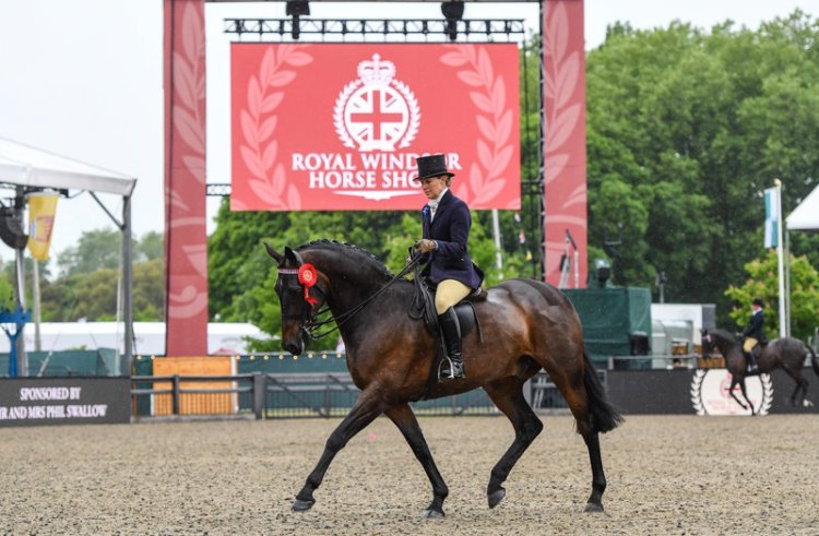 STELLAR NATIONAL ENTRIES  FOR ROYAL WINDSOR HORSE SHOW 2023