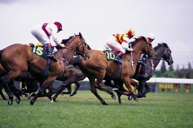 A Collective Responsibility for the Grand National
