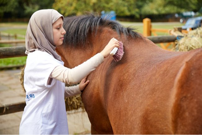 BHS launches Keep Britain Riding campaign as equestrianism comes under threat