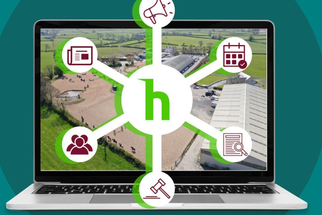 Hoofpick Platform Unveils Powerful Hub for Equestrian Businesses