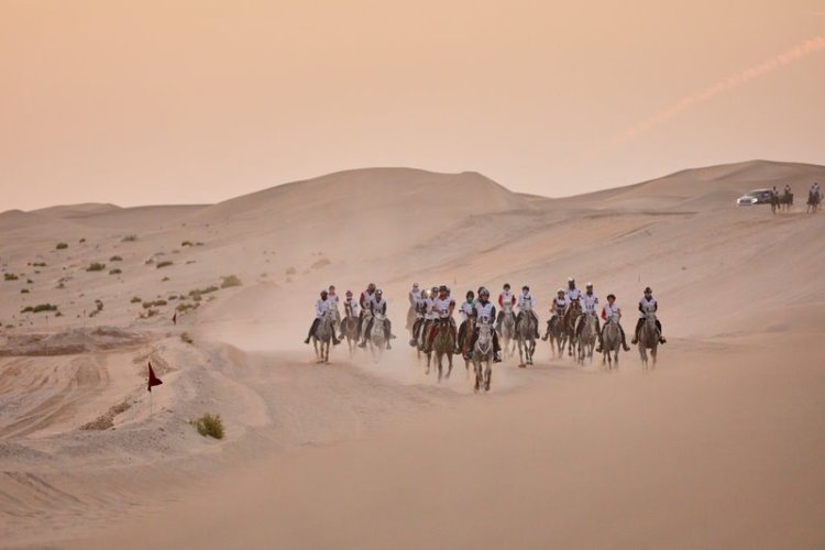 Team France become FEI Endurance World Champion 2022 following FEI Tribunal Decision