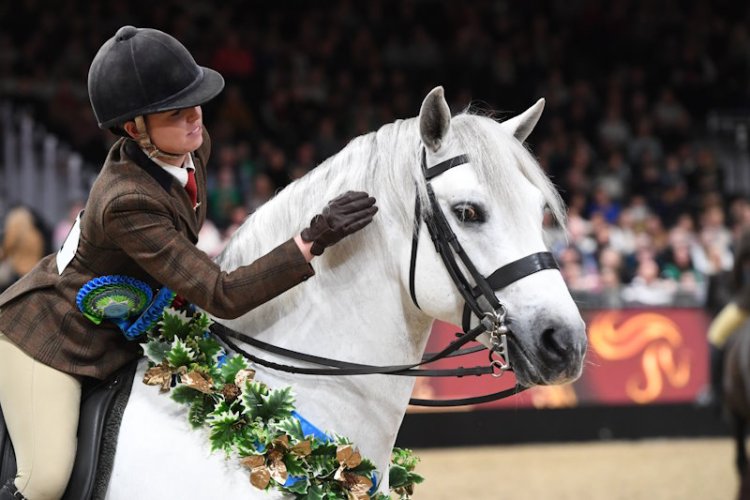 LONDON INTERNATIONAL HORSE SHOW ADDS SHOWING WITH THE STARS TO THE LEMIEUX MASTERCLASS LINE-UP