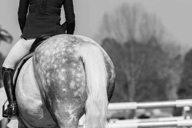 The Power of Mental Skills