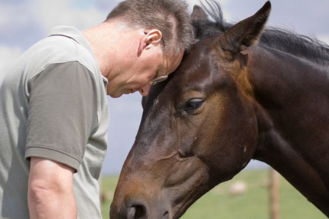 Wrapping our minds around AI and Equestrian Sports